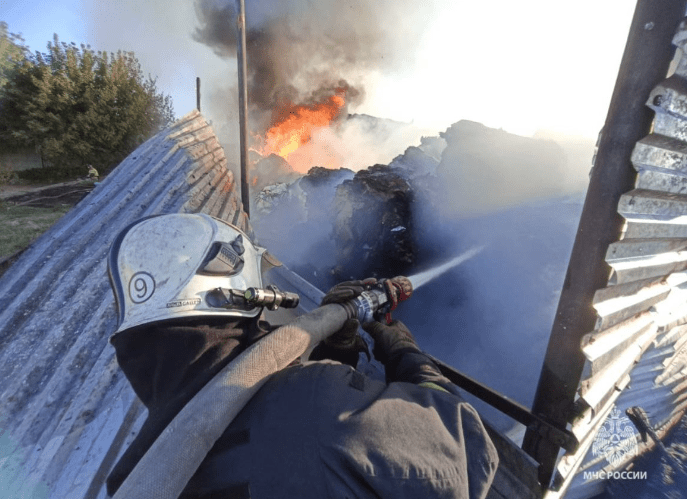 В Сети появились кадры возгорания в районе Пятой базы в Рязани