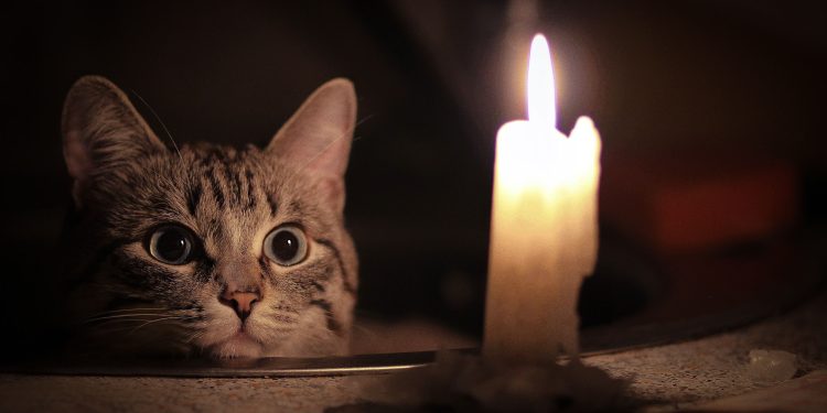 В Рязани выключили свет В Рязани выключили свет