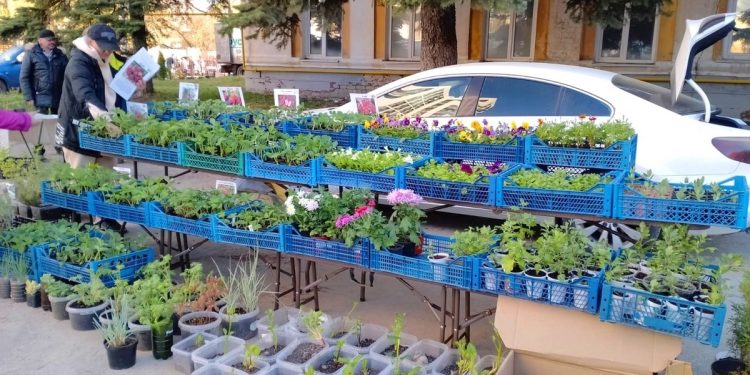 Рязанцев приглашают на тематическую ярмарку «Сад-огород» 12 апреля