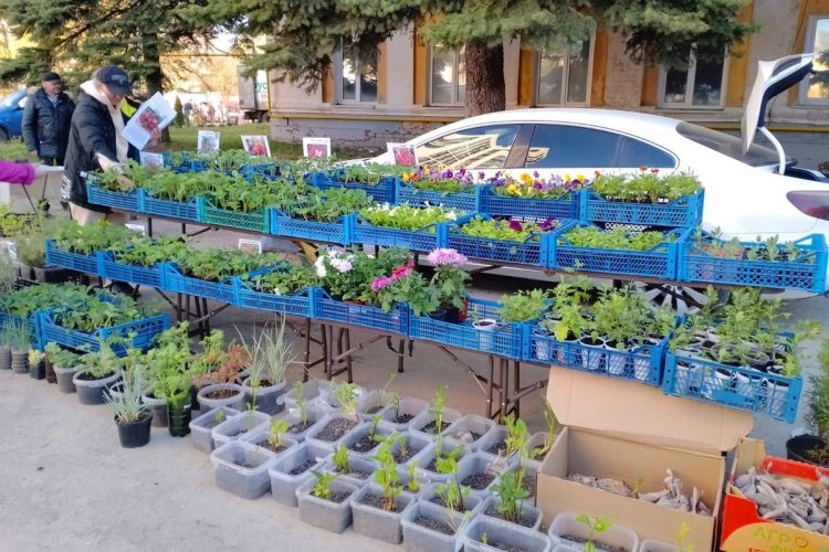 Рязанцев приглашают на тематическую ярмарку "Сад-огород" 12 апреля