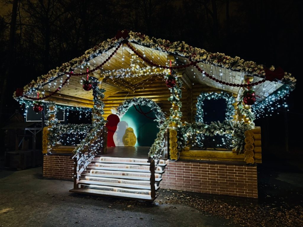 Рязанский Лесопарк украсили к Новому году