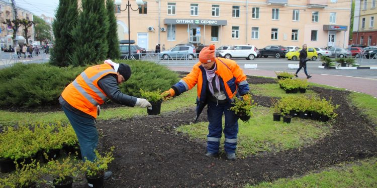 На рязанской площади Победы высадили спирею березолистную