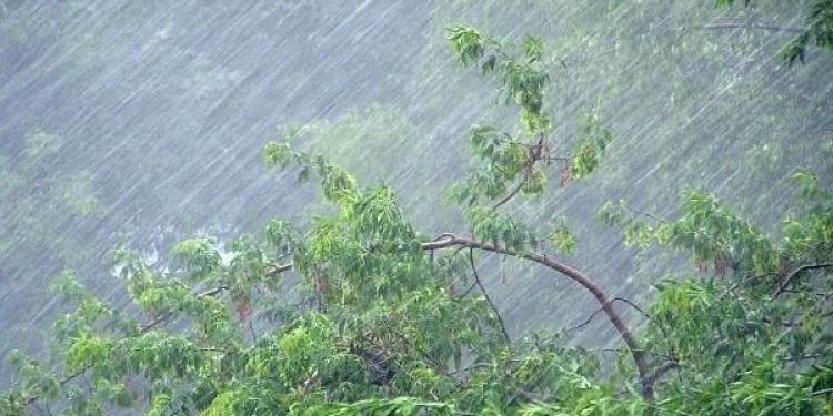 МЧС: до конца суток 29 мая в Рязанской области ожидается дождь с грозой МЧС: до конца суток 29 мая в Рязанской области ожидается дождь с грозой