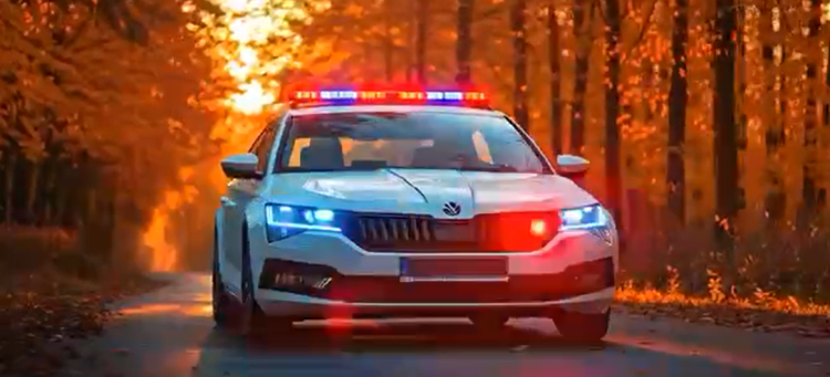 С 10 по 12 октября в Рязанской области пройдут массовые рейды