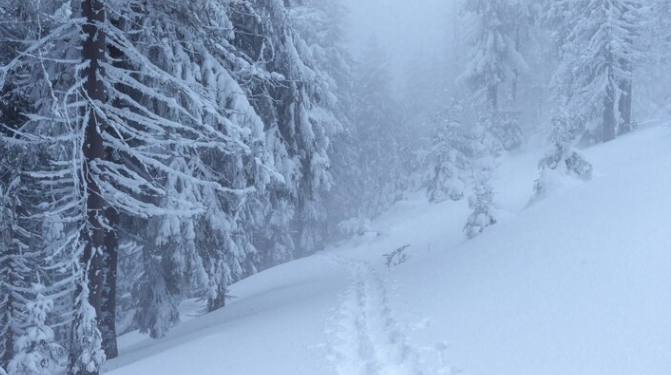 Тишковец: зима в Центральной России будет особенно снежной