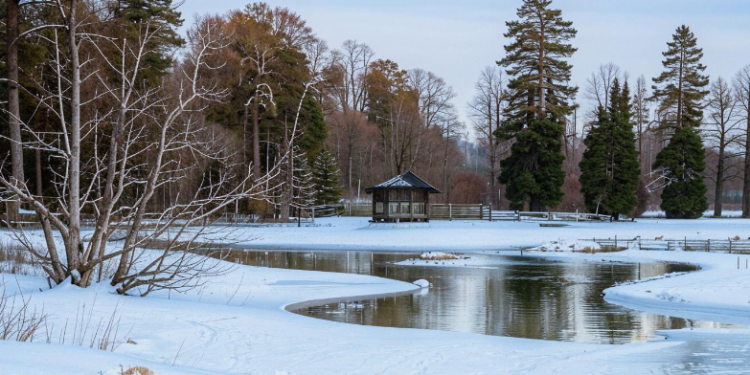 Тишковец спрогнозировал теплый февраль в Центральной России