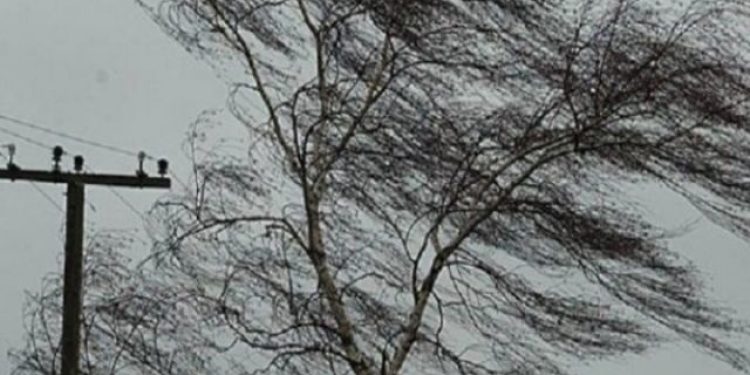 Рязанцев предупредили об усилении ветра 6 марта Рязанцев предупредили об усилении ветра 6 марта