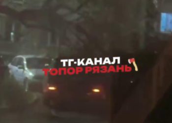 В Рязани упавшее дерево повредило машины