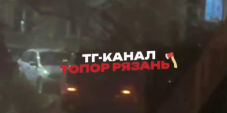В Рязани упавшее дерево повредило машины