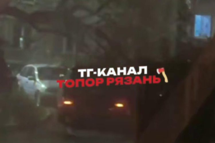 В Рязани упавшее дерево повредило машины