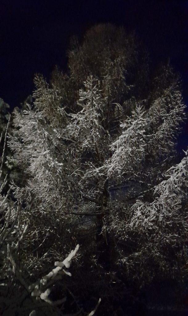 Фото: рязанский Новомичуринск накрыло снегом