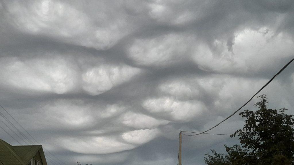 В небе над рязанским Новомичуринском засняли устрашающие облака Asperitas