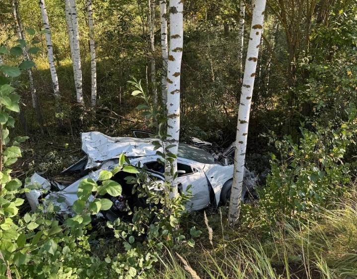 В Сети появились фото с места смертельного ДТП в Клепиковском районе