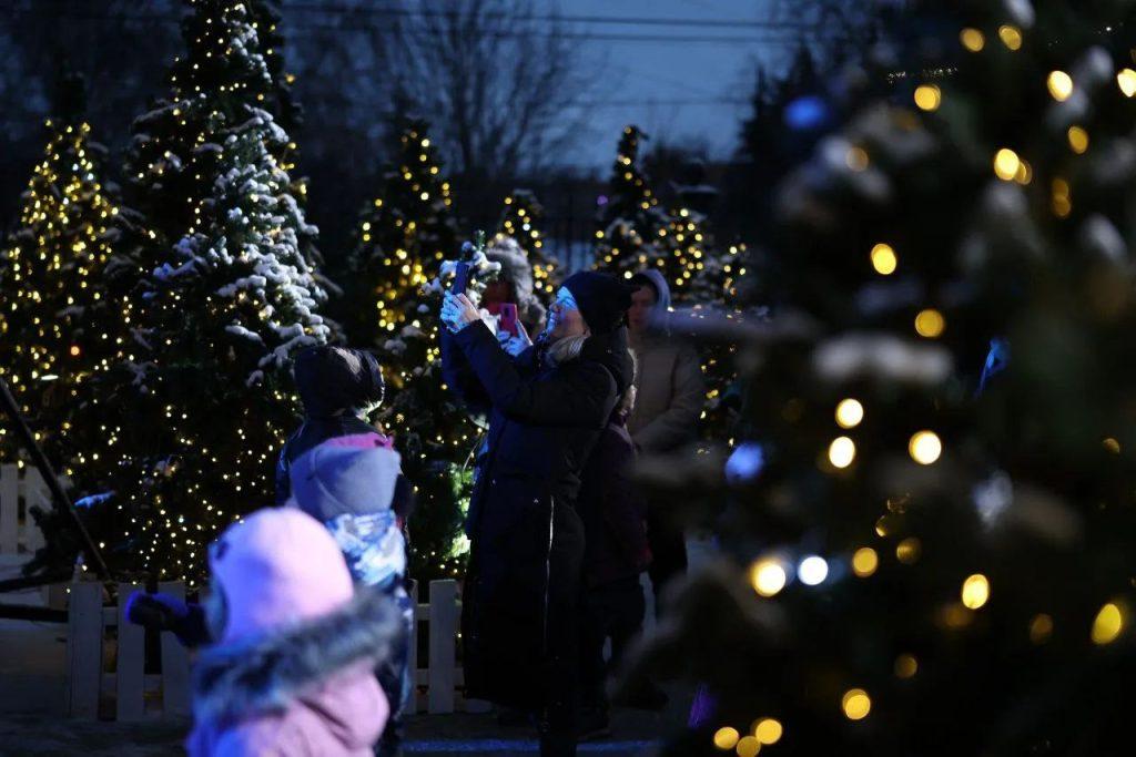 Малков поздравил рязанцев с открытием Новогодней столицы