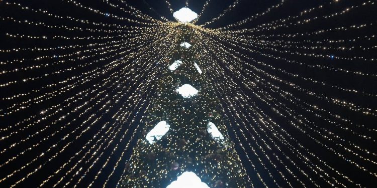 Фоторепортаж: рязанский Лыбедский бульвар преобразился к Новому году