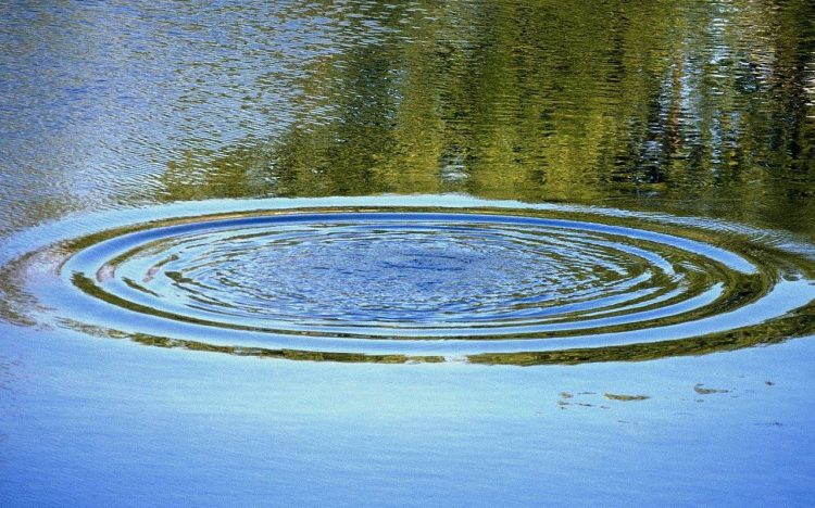 В Старожиловском районе утонул человек