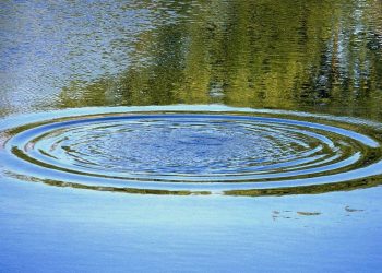 В Скопинском районе из местного пруда достали тело мужчины В Скопинском районе из местного пруда достали тело мужчины