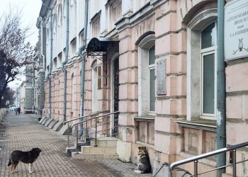 Рязанка пожаловалась на нападение бездомных собак в центре города