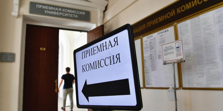 Вдовы ветеранов СВО будут учиться в вузах бесплатно