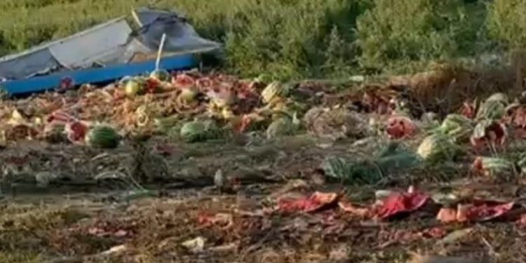 В Рязанской области грузовик в арбузами врезался в легковушку
