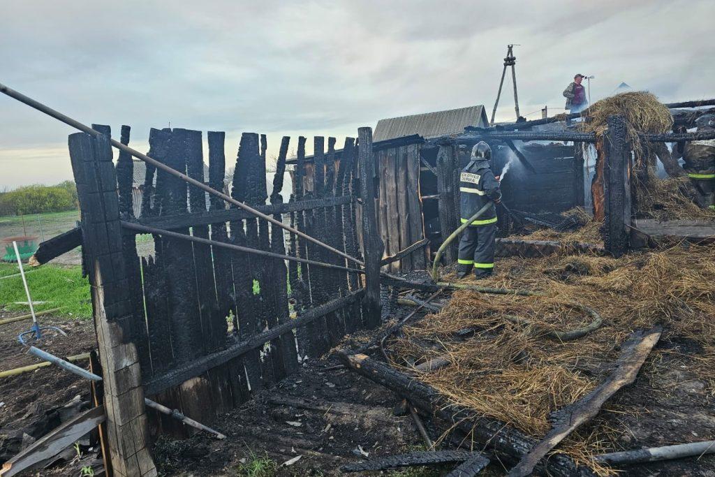 В Шацком районе дотла выгорели деревянный гараж и автомобиль ВАЗ