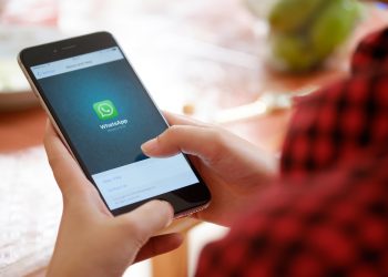 В WhatsApp появилась функция фильтрации чатов В WhatsApp появилась функция фильтрации чатов