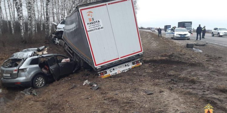 Рязанские полицейские ищут очевидцев ДТП, в котором погибли 7 человек Рязанские полицейские ищут очевидцев ДТП, в котором погибли 7 человек