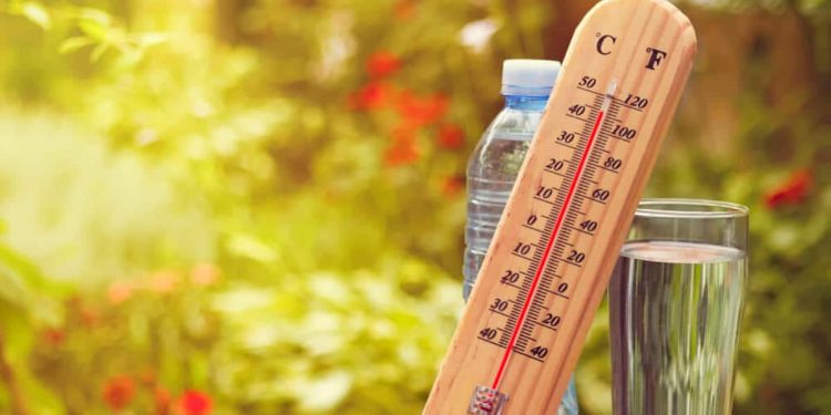 В субботу в Рязанской области ожидается гроза и до +31 градуса