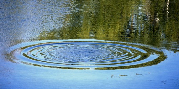 В Старожиловском районе из реки Проня достали тело 11-летнего мальчика