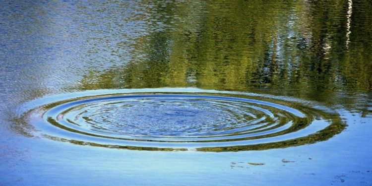 В Рыбновском районе утонул мужчина