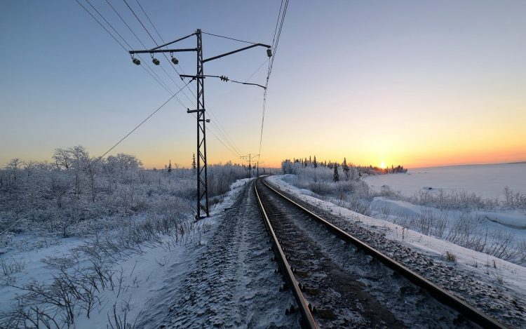 В Рязанской области под поездом погиб мужчина