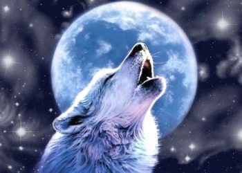 На рязанский небосклон взошла «волчья» луна