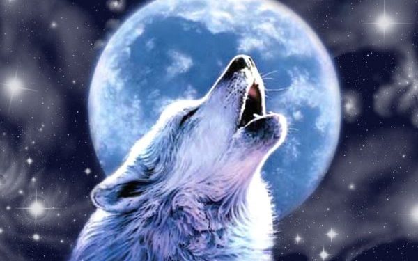 На рязанский небосклон взошла «волчья» луна