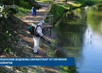 Рязанцам назвали водоемы, которые обработают от личинок комаров Рязанцам назвали водоемы, которые обработают от личинок комаров