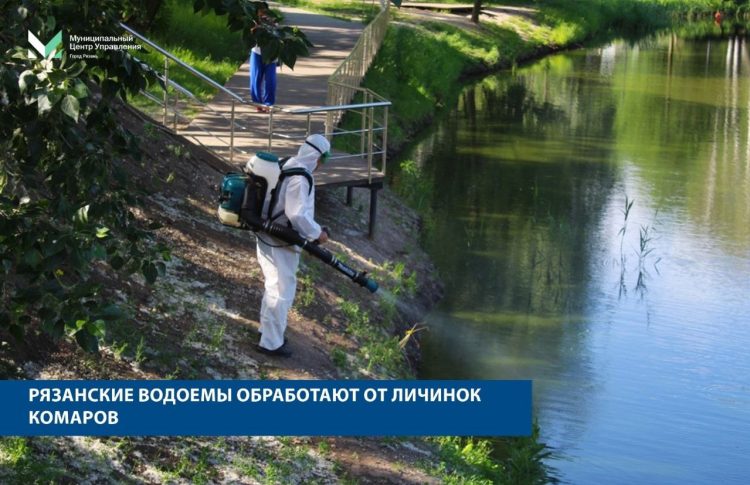 Рязанцам назвали водоемы, которые обработают от личинок комаров