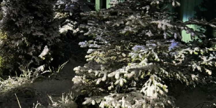 Утро 9 мая началось в Рязани со снегопада