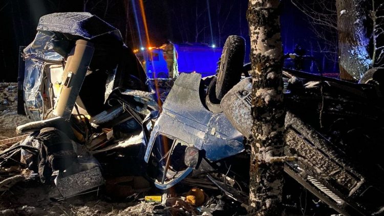 В Путятинском округе столкнулись ГАЗель и грузовик, есть пострадавший