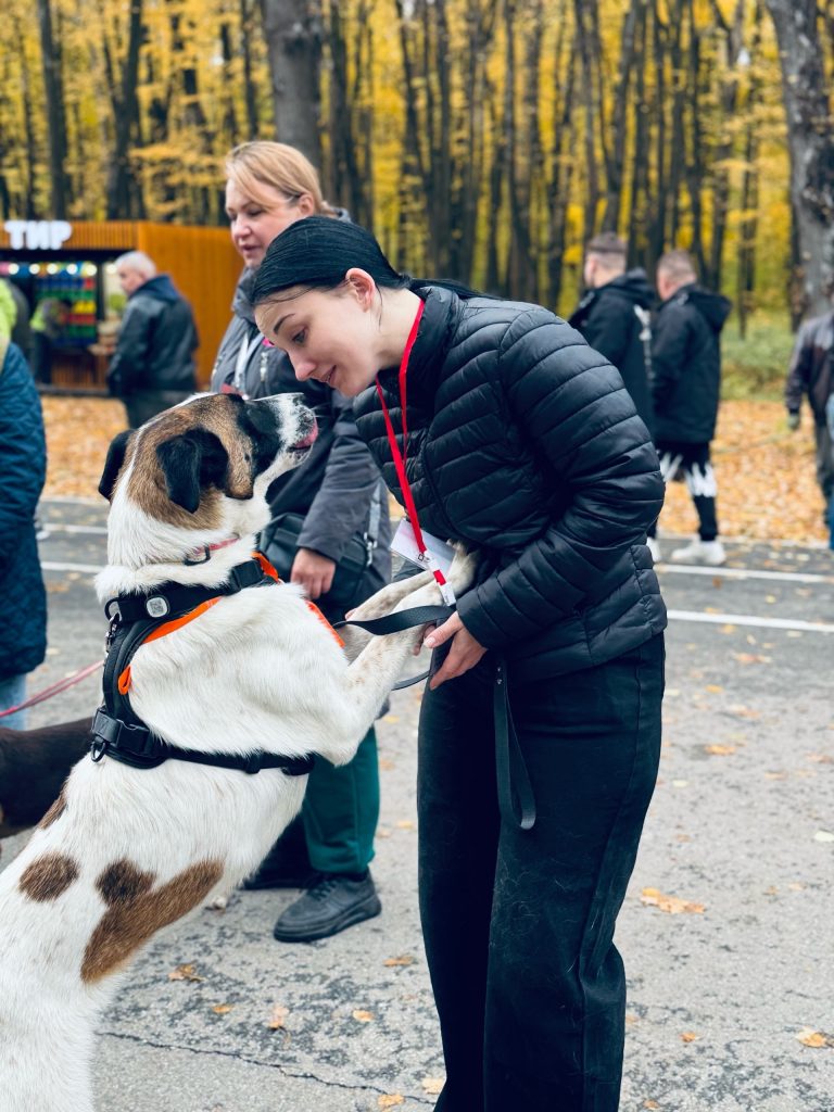 В Рязани на выставке безнадзорных животных дом обрели 7 собак и 4 кошки