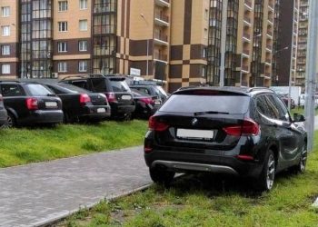 С начала года за парковку автомобилей в зеленой зоне оштрафовали 10 172 водителя С начала года за парковку автомобилей в зеленой зоне оштрафовали 10 172 водителя