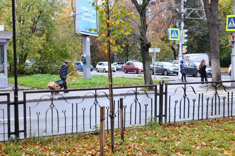 Рязанский губернатор Малков: Единый день озеленения пройдет во всех муниципалитетах