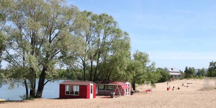 Пляжи Рязани проверяют на готовность к купальному сезону