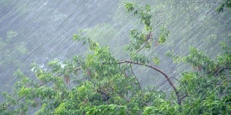 МЧС: 19 и 20 июня в Рязанской области ожидаются сильные ливни и порывы ветра МЧС: 19 и 20 июня в Рязанской области ожидаются сильные ливни и порывы ветра