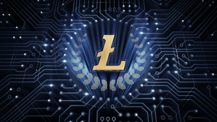 Как купить криптовалюту Litecoin, оплатив сделку картой ЮMoney
