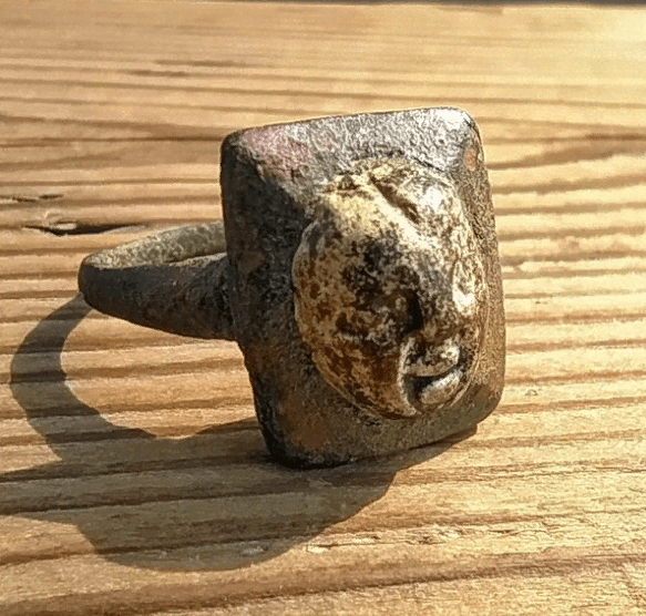 Археологи из Рязани нашли перстень с изображением лица