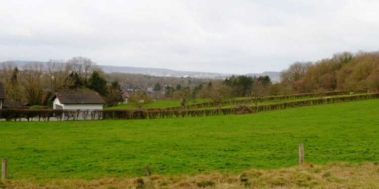 Для многодетных семей выделят 811 земельных участков под Рязанью