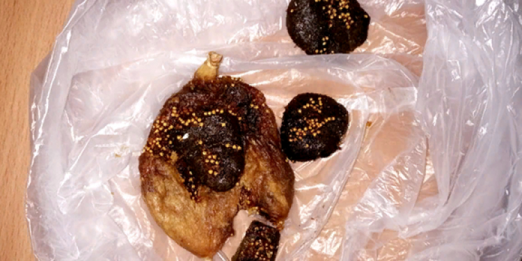 В рязанскую ИК №2 пытались передать гашиш в сухофруктах