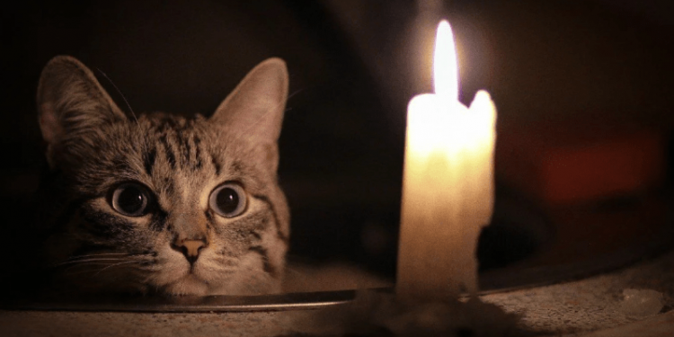 На пяти рязанских улицах 3 ноября отключат электроэнергию На пяти рязанских улицах 3 ноября отключат электроэнергию