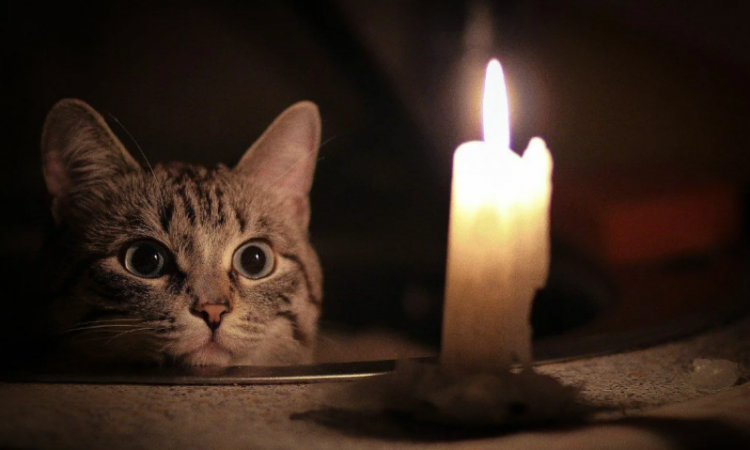 На пяти рязанских улицах 3 ноября отключат электроэнергию