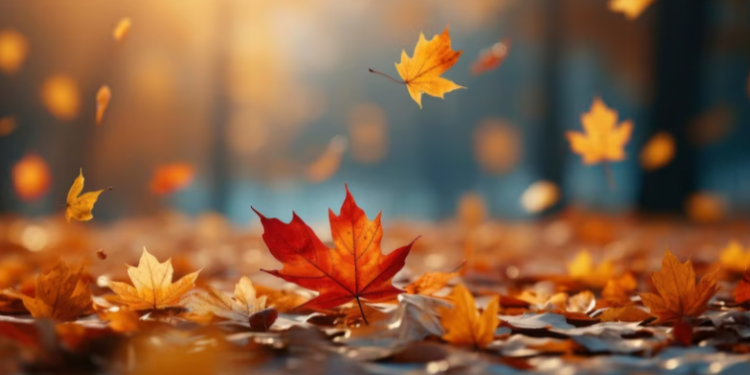 В среду в Рязанской области ожидается дождь и до +10 градусов