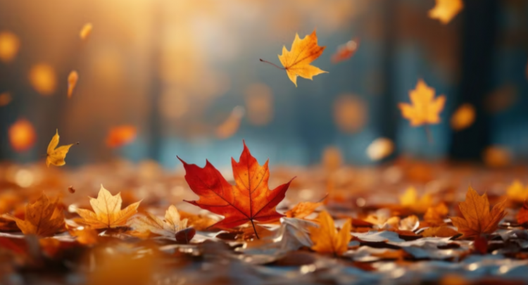 В среду в Рязанской области ожидается дождь и до +10 градусов